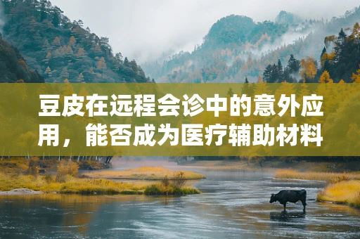 豆皮在远程会诊中的意外应用，能否成为医疗辅助材料的新星？