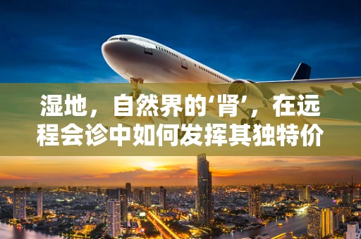 湿地，自然界的‘肾’，在远程会诊中如何发挥其独特价值？