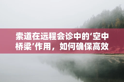 索道在远程会诊中的‘空中桥梁’作用，如何确保高效、安全的数据传输？
