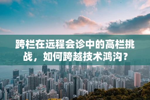 跨栏在远程会诊中的高栏挑战，如何跨越技术鸿沟？