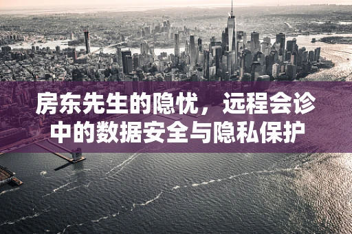 房东先生的隐忧，远程会诊中的数据安全与隐私保护