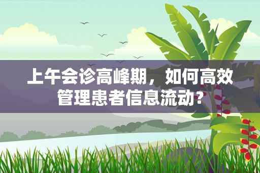 上午会诊高峰期，如何高效管理患者信息流动？
