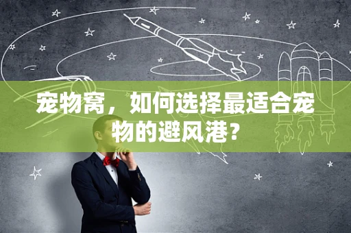 宠物窝，如何选择最适合宠物的避风港？