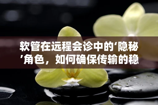 软管在远程会诊中的‘隐秘’角色，如何确保传输的稳定与安全？