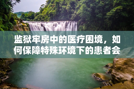 监狱牢房中的医疗困境，如何保障特殊环境下的患者会诊？