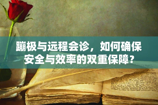 蹦极与远程会诊，如何确保安全与效率的双重保障？