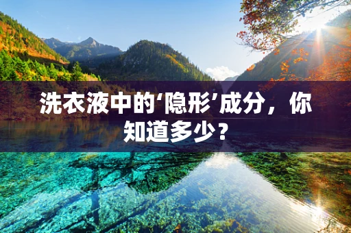 洗衣液中的‘隐形’成分，你知道多少？