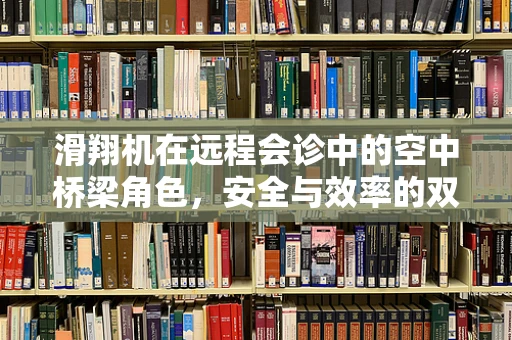 滑翔机在远程会诊中的空中桥梁角色，安全与效率的双重挑战