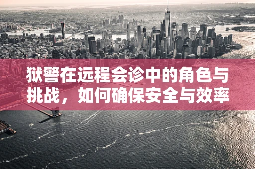 狱警在远程会诊中的角色与挑战，如何确保安全与效率的平衡？