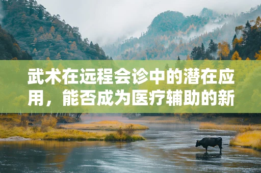 武术在远程会诊中的潜在应用，能否成为医疗辅助的新篇章？