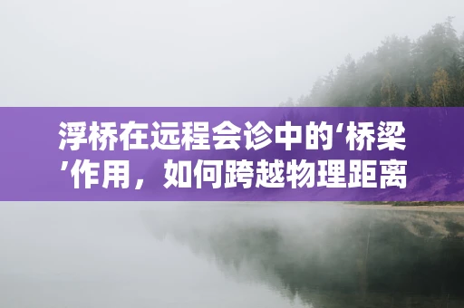 浮桥在远程会诊中的‘桥梁’作用，如何跨越物理距离的障碍？