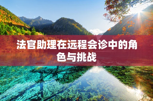 法官助理在远程会诊中的角色与挑战