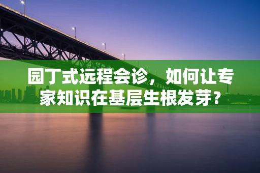 园丁式远程会诊，如何让专家知识在基层生根发芽？
