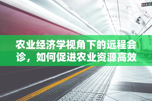 农业经济学视角下的远程会诊，如何促进农业资源高效配置与农村医疗服务均衡？