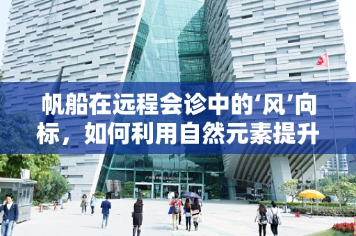 帆船在远程会诊中的‘风’向标，如何利用自然元素提升医疗沟通效率？