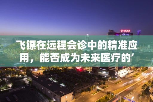 飞镖在远程会诊中的精准应用，能否成为未来医疗的‘远程利器’？