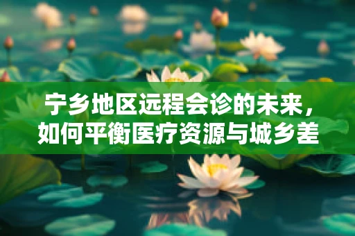 宁乡地区远程会诊的未来，如何平衡医疗资源与城乡差距？