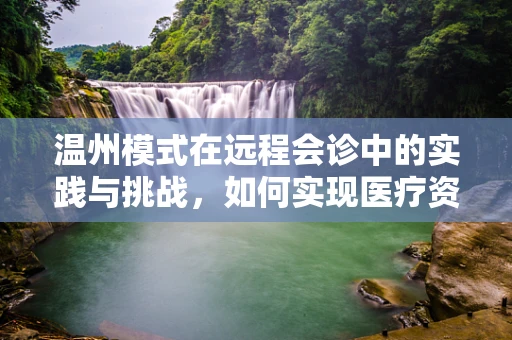 温州模式在远程会诊中的实践与挑战，如何实现医疗资源的均衡分配？