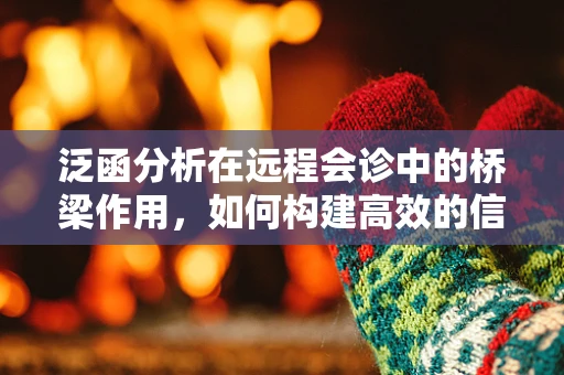 泛函分析在远程会诊中的桥梁作用，如何构建高效的信息传输空间？
