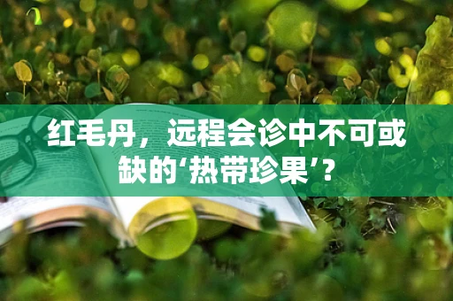 红毛丹，远程会诊中不可或缺的‘热带珍果’？