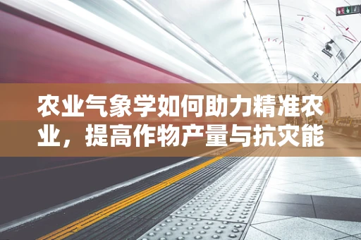农业气象学如何助力精准农业，提高作物产量与抗灾能力？
