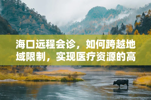 海口远程会诊，如何跨越地域限制，实现医疗资源的高效共享？