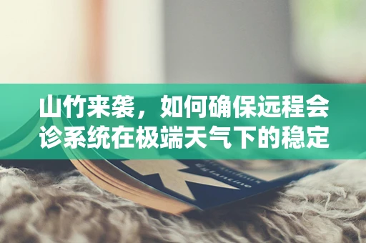 山竹来袭，如何确保远程会诊系统在极端天气下的稳定运行？