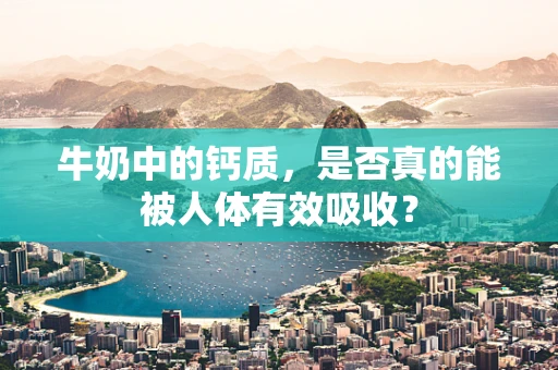 牛奶中的钙质，是否真的能被人体有效吸收？