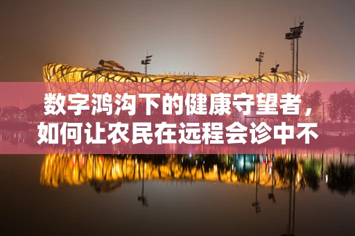 数字鸿沟下的健康守望者，如何让农民在远程会诊中不掉队？