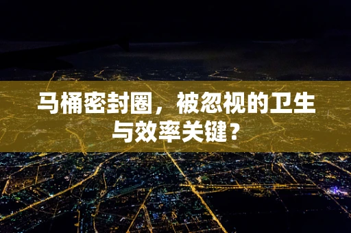 马桶密封圈，被忽视的卫生与效率关键？