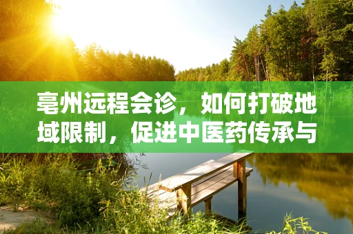 亳州远程会诊，如何打破地域限制，促进中医药传承与发展？