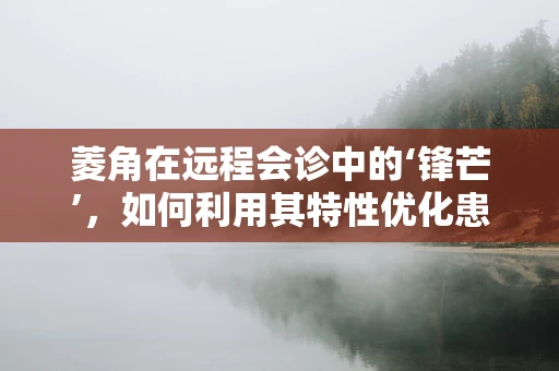 菱角在远程会诊中的‘锋芒’，如何利用其特性优化患者管理？