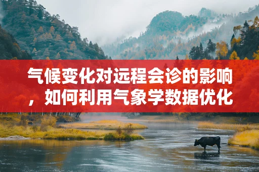 气候变化对远程会诊的影响，如何利用气象学数据优化医疗资源分配？