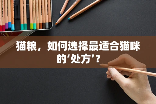 猫粮，如何选择最适合猫咪的‘处方’？
