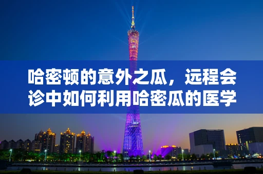 哈密顿的意外之瓜，远程会诊中如何利用哈密瓜的医学启示？