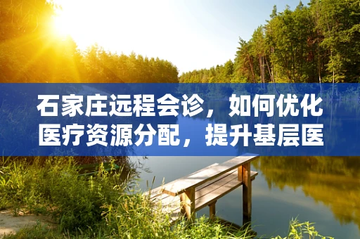 石家庄远程会诊，如何优化医疗资源分配，提升基层医疗服务质量？