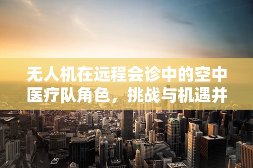 无人机在远程会诊中的空中医疗队角色，挑战与机遇并存？