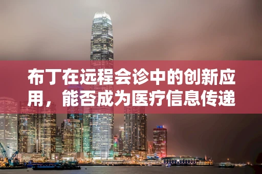 布丁在远程会诊中的创新应用，能否成为医疗信息传递的新甜品？