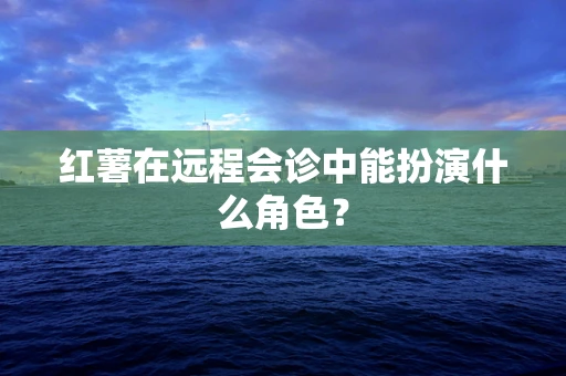 红薯在远程会诊中能扮演什么角色？