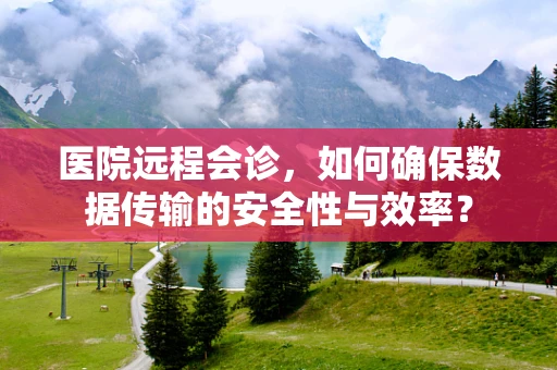 医院远程会诊，如何确保数据传输的安全性与效率？