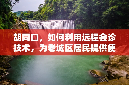 胡同口，如何利用远程会诊技术，为老城区居民提供便捷医疗服务？