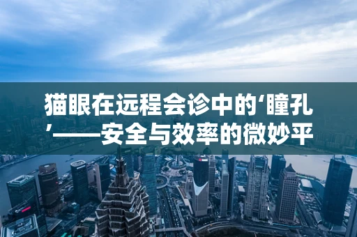 猫眼在远程会诊中的‘瞳孔’——安全与效率的微妙平衡？