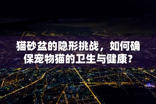 猫砂盆的隐形挑战，如何确保宠物猫的卫生与健康？