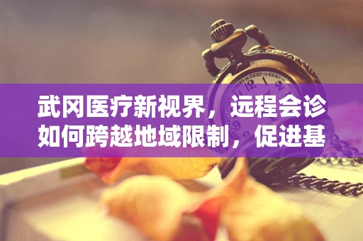 武冈医疗新视界，远程会诊如何跨越地域限制，促进基层医疗发展？
