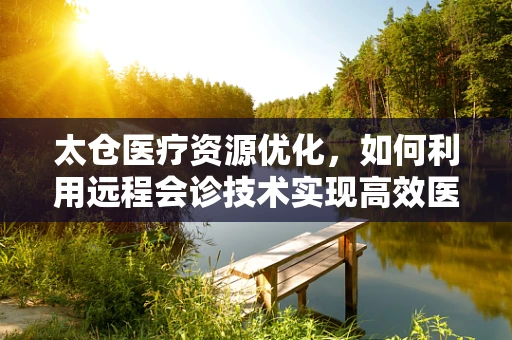 太仓医疗资源优化，如何利用远程会诊技术实现高效医疗服务？