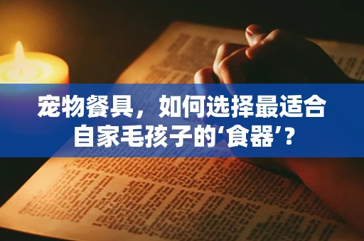 宠物餐具，如何选择最适合自家毛孩子的‘食器’？
