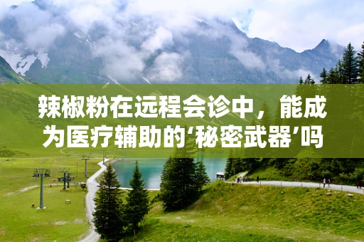 辣椒粉在远程会诊中，能成为医疗辅助的‘秘密武器’吗？