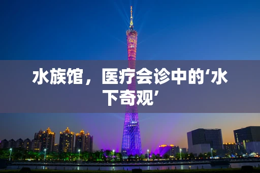 水族馆，医疗会诊中的‘水下奇观’