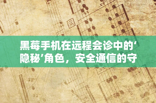 黑莓手机在远程会诊中的‘隐秘’角色，安全通信的守护者？