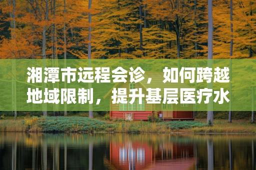 湘潭市远程会诊，如何跨越地域限制，提升基层医疗水平？